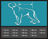 Chami Dog Dress