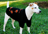 Black Magic Dress Dog Sweater