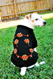 Black Magic Dress Dog Sweater