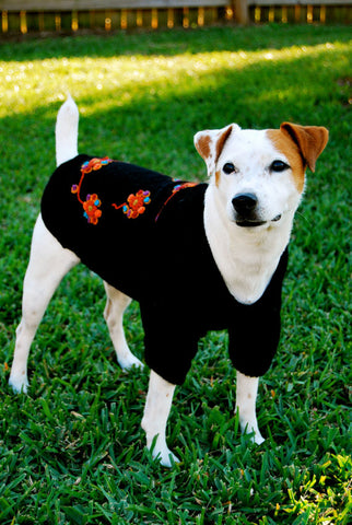 Black Magic Dress Dog Sweater