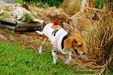 Rudy Christmas Sweater