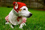 Rudy Christmas Sweater