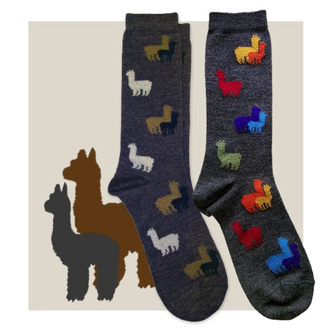 Rainbow Alpaca Herd Socks