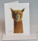 Alpaca & Llama Watercolor Notecards