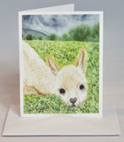 Alpaca & Llama Watercolor Notecards