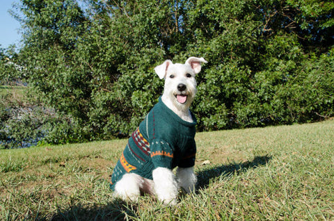 Indigo Teal Dog Sweater
