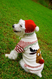Rudy Christmas Sweater