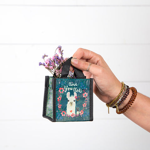 Llove you Llots Extra Small Recycled Gift Bag